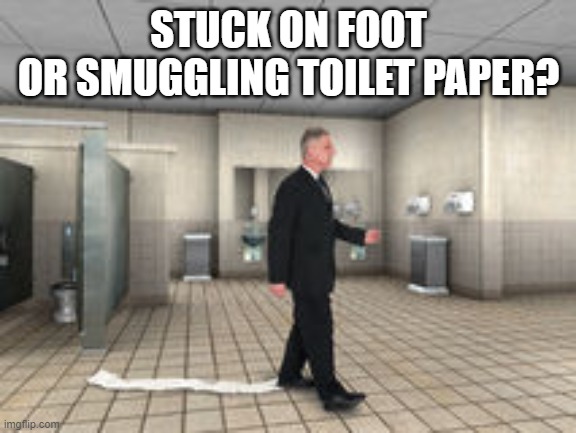 We Now Have Toilet Paper Smugglers? | STUCK ON FOOT
OR SMUGGLING TOILET PAPER? | image tagged in toilet paper,hoarders,mr clean | made w/ Imgflip meme maker