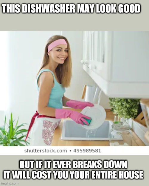 Dish washer | THIS DISHWASHER MAY LOOK GOOD; BUT IF IT EVER BREAKS DOWN  IT WILL COST YOU YOUR ENTIRE HOUSE | image tagged in marriage | made w/ Imgflip meme maker