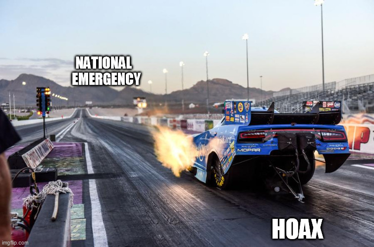 NATIONAL                                                                                        
        EMERGENCY; HOAX | image tagged in donald trump,trump | made w/ Imgflip meme maker