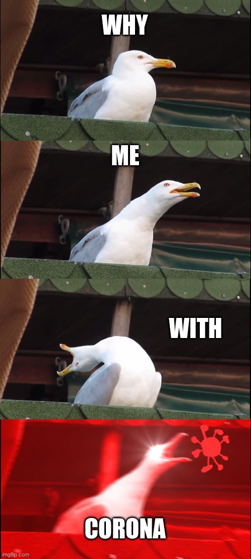 Inhaling Seagull Meme | WHY; ME; WITH; CORONA | image tagged in memes,inhaling seagull | made w/ Imgflip meme maker