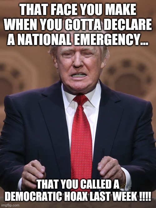 Donald Trump | THAT FACE YOU MAKE WHEN YOU GOTTA DECLARE A NATIONAL EMERGENCY... THAT YOU CALLED A DEMOCRATIC HOAX LAST WEEK !!!! | image tagged in donald trump | made w/ Imgflip meme maker