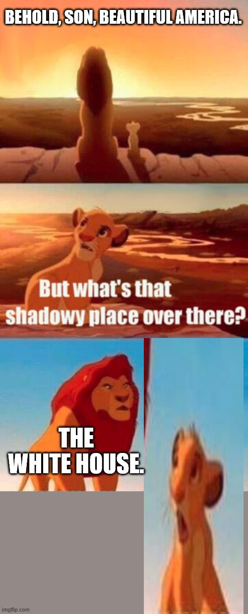 Simba Shadowy Place Meme | BEHOLD, SON, BEAUTIFUL AMERICA. THE WHITE HOUSE. | image tagged in memes,simba shadowy place,white house | made w/ Imgflip meme maker