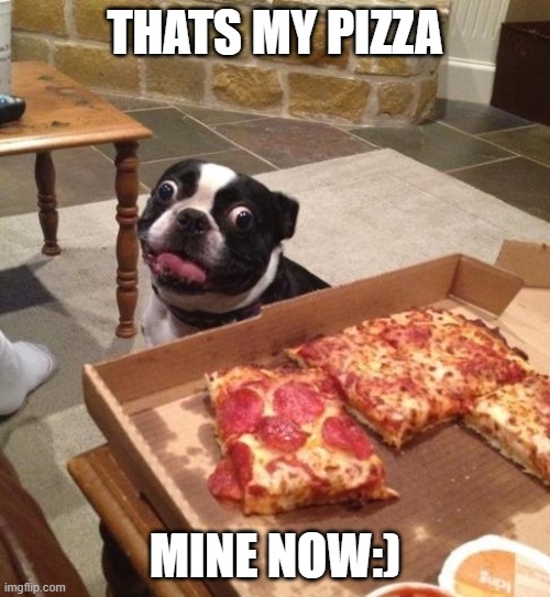 Hungry Pizza Dog | THATS MY PIZZA; MINE NOW:) | image tagged in hungry pizza dog | made w/ Imgflip meme maker