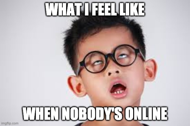 100% that you'll skip through this |  WHAT I FEEL LIKE; WHEN NOBODY'S ONLINE | image tagged in good stuff,memes,everything | made w/ Imgflip meme maker