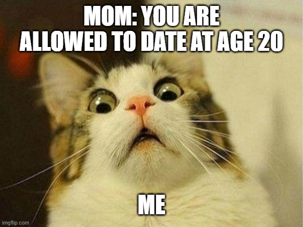 Scared Cat Meme | MOM: YOU ARE ALLOWED TO DATE AT AGE 20; ME | image tagged in memes,scared cat | made w/ Imgflip meme maker