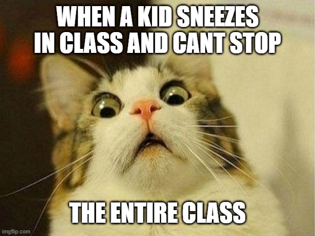 Scared Cat | WHEN A KID SNEEZES IN CLASS AND CANT STOP; THE ENTIRE CLASS | image tagged in memes,scared cat | made w/ Imgflip meme maker