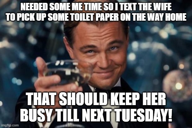 Leonardo Dicaprio Cheers | NEEDED SOME ME TIME SO I TEXT THE WIFE TO PICK UP SOME TOILET PAPER ON THE WAY HOME; THAT SHOULD KEEP HER BUSY TILL NEXT TUESDAY! | image tagged in memes,leonardo dicaprio cheers | made w/ Imgflip meme maker