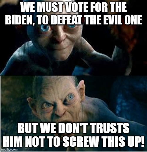Gollum | WE MUST VOTE FOR THE BIDEN, TO DEFEAT THE EVIL ONE; BUT WE DON'T TRUSTS HIM NOT TO SCREW THIS UP! | image tagged in gollum | made w/ Imgflip meme maker