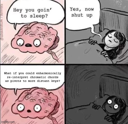 waking up brain | What if you could enharmonically
re-interpret chromatic chords
as pivots to more distant keys? | image tagged in waking up brain | made w/ Imgflip meme maker