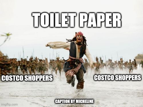 Jack Sparrow Being Chased Meme | TOILET PAPER; COSTCO SHOPPERS; COSTCO SHOPPERS; CAPTION BY MICHELINE | image tagged in memes,jack sparrow being chased | made w/ Imgflip meme maker