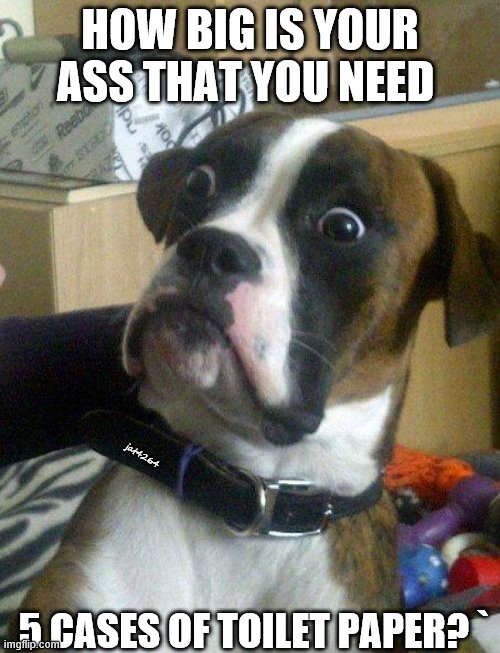 Blankie the Shocked Dog | HOW BIG IS YOUR ASS THAT YOU NEED; jat4264; 5 CASES OF TOILET PAPER? ` | image tagged in blankie the shocked dog | made w/ Imgflip meme maker