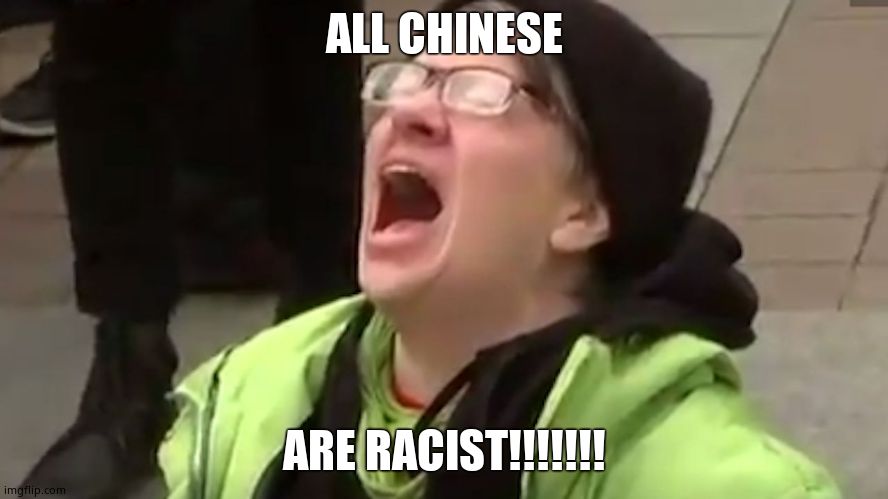 Screaming Liberal  | ALL CHINESE ARE RACIST!!!!!!! | image tagged in screaming liberal | made w/ Imgflip meme maker