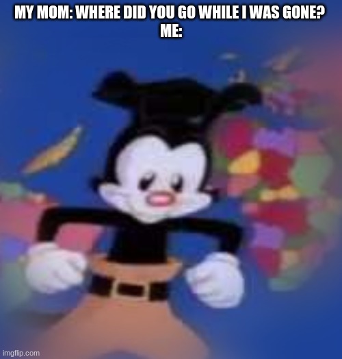 YAKKO | MY MOM: WHERE DID YOU GO WHILE I WAS GONE? 
ME: | image tagged in yakko | made w/ Imgflip meme maker