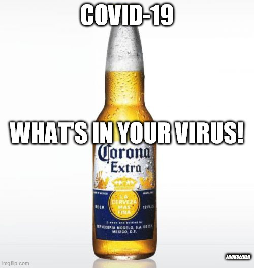Corona | COVID-19; WHAT'S IN YOUR VIRUS! THORSEIDER | image tagged in memes,corona | made w/ Imgflip meme maker