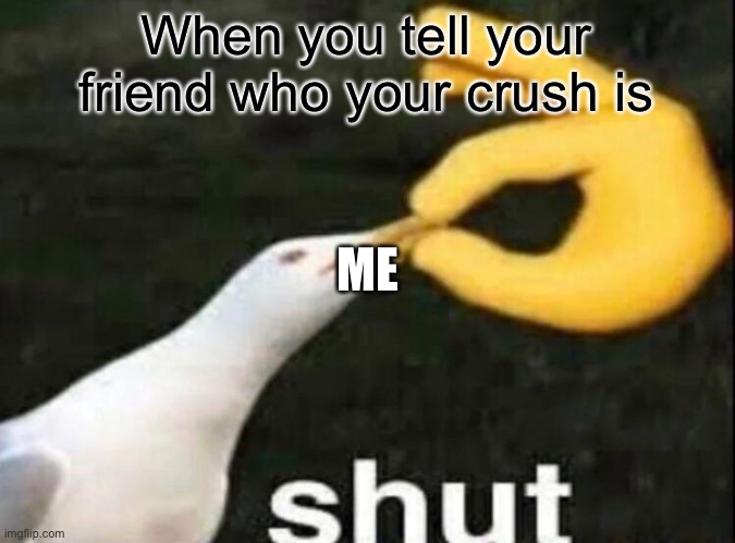 SHUT | When you tell your friend who your crush is; ME | image tagged in shut | made w/ Imgflip meme maker