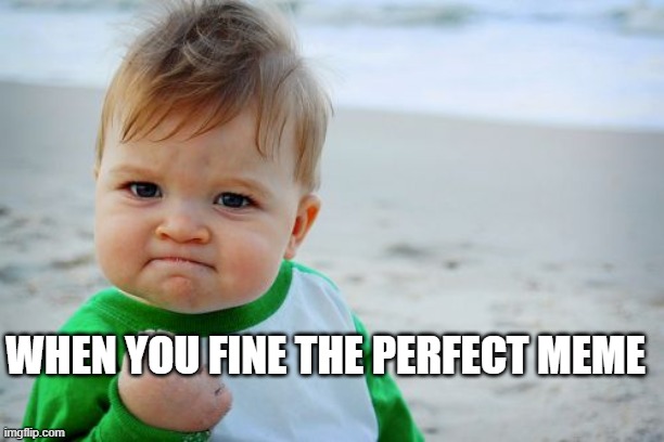 Success Kid Original Meme | WHEN YOU FINE THE PERFECT MEME | image tagged in memes,success kid original | made w/ Imgflip meme maker