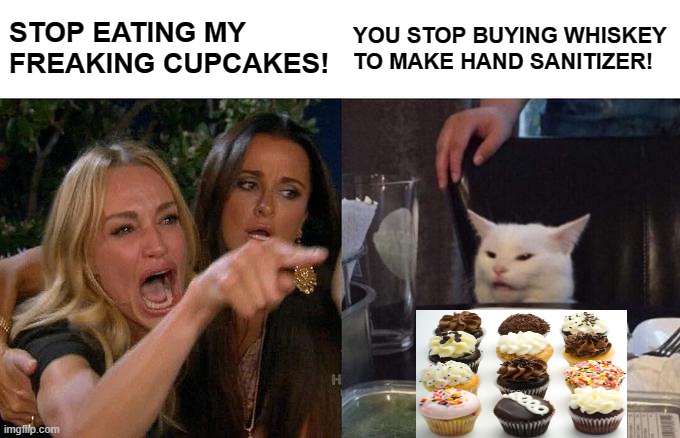 Woman Yelling At Cat Meme | STOP EATING MY FREAKING CUPCAKES! YOU STOP BUYING WHISKEY TO MAKE HAND SANITIZER! | image tagged in memes,woman yelling at cat | made w/ Imgflip meme maker