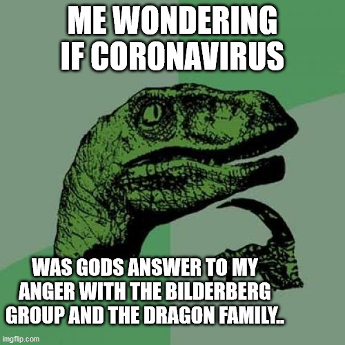 Philosoraptor | ME WONDERING IF CORONAVIRUS; WAS GODS ANSWER TO MY ANGER WITH THE BILDERBERG GROUP AND THE DRAGON FAMILY.. | image tagged in memes,philosoraptor | made w/ Imgflip meme maker