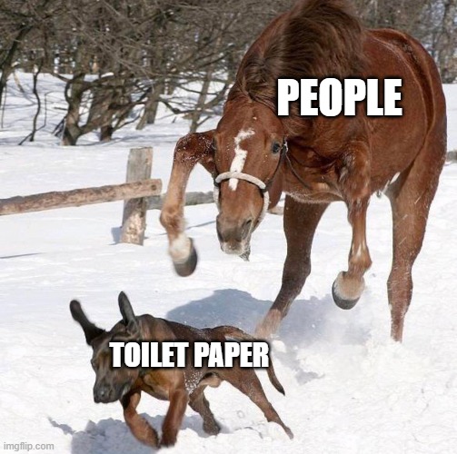 PEOPLE; TOILET PAPER | image tagged in coronavirus | made w/ Imgflip meme maker