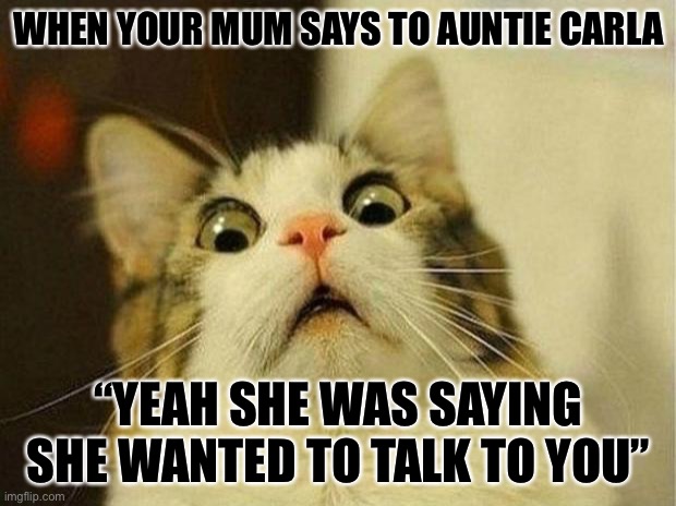 Scared Cat Meme | WHEN YOUR MUM SAYS TO AUNTIE CARLA; “YEAH SHE WAS SAYING SHE WANTED TO TALK TO YOU” | image tagged in memes,scared cat | made w/ Imgflip meme maker