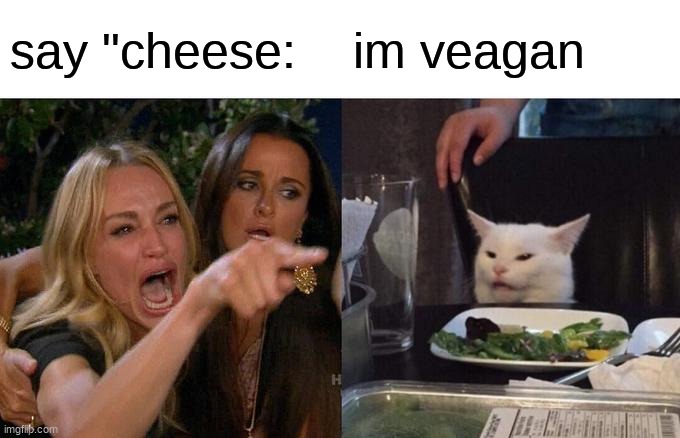 Woman Yelling At Cat | say "cheese:; im veagan | image tagged in memes,woman yelling at cat | made w/ Imgflip meme maker
