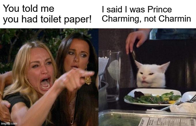 Woman Yelling At Cat | You told me you had toilet paper! I said I was Prince Charming, not Charmin | image tagged in memes,woman yelling at cat | made w/ Imgflip meme maker