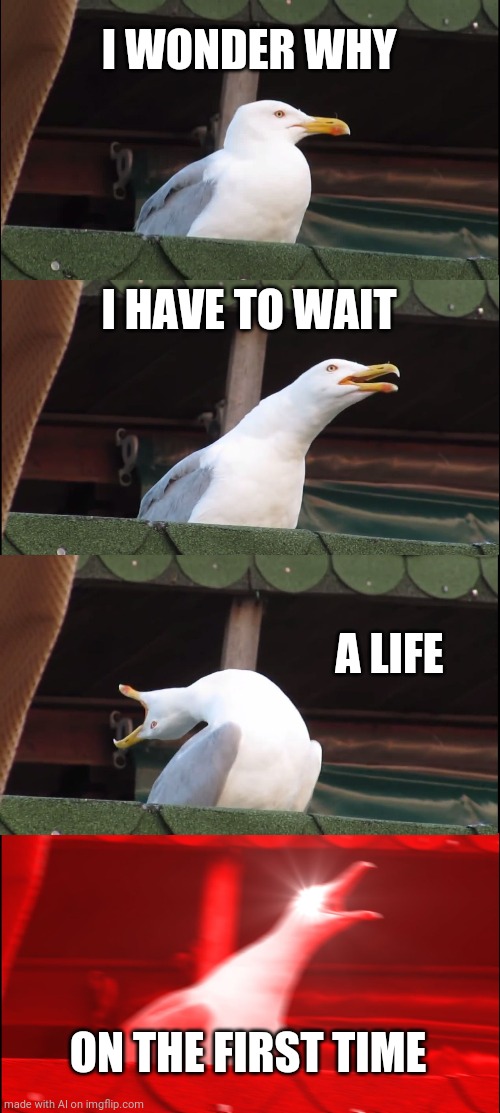 Inhaling Seagull | I WONDER WHY; I HAVE TO WAIT; A LIFE; ON THE FIRST TIME | image tagged in memes,inhaling seagull | made w/ Imgflip meme maker