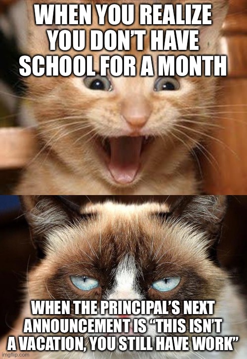 *Sigh* | WHEN YOU REALIZE YOU DON’T HAVE SCHOOL FOR A MONTH; WHEN THE PRINCIPAL’S NEXT ANNOUNCEMENT IS “THIS ISN’T A VACATION, YOU STILL HAVE WORK” | image tagged in memes,grumpy cat not amused,excited cat | made w/ Imgflip meme maker