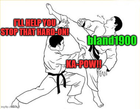 Dick Punch | I'LL HELP YOU STOP THAT HARD-ON! KA-POW!! bland1900 | image tagged in dick punch | made w/ Imgflip meme maker