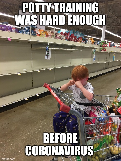 Mary Beth Thornburg-Rogers | POTTY TRAINING WAS HARD ENOUGH; BEFORE CORONAVIRUS | image tagged in mary beth thornburg-rogers | made w/ Imgflip meme maker