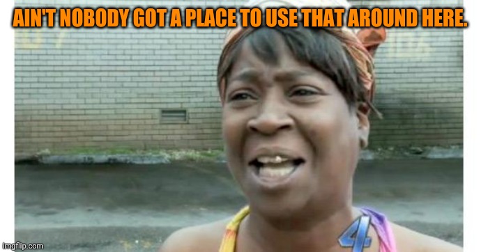 ain't nobody got time for that | AIN'T NOBODY GOT A PLACE TO USE THAT AROUND HERE. | image tagged in ain't nobody got time for that | made w/ Imgflip meme maker