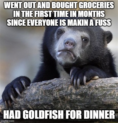 Confession Bear Meme | WENT OUT AND BOUGHT GROCERIES IN THE FIRST TIME IN MONTHS SINCE EVERYONE IS MAKIN A FUSS; HAD GOLDFISH FOR DINNER | image tagged in memes,confession bear | made w/ Imgflip meme maker