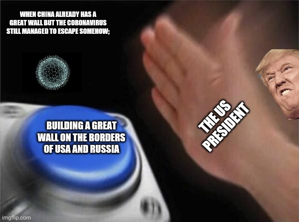 Blank Nut Button | WHEN CHINA ALREADY HAS A GREAT WALL BUT THE CORONAVIRUS STILL MANAGED TO ESCAPE SOMEHOW;; THE US PRESIDENT; BUILDING A GREAT WALL ON THE BORDERS OF USA AND RUSSIA | image tagged in memes,blank nut button,politics | made w/ Imgflip meme maker