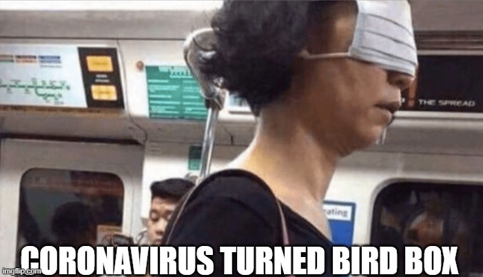 coronavirus | CORONAVIRUS TURNED BIRD BOX | image tagged in coronavirus | made w/ Imgflip meme maker