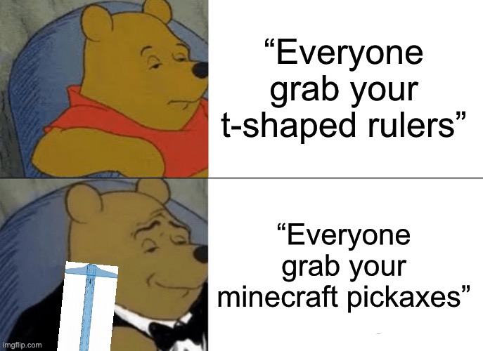 Tuxedo Winnie The Pooh Meme | “Everyone grab your t-shaped rulers”; “Everyone grab your minecraft pickaxes” | image tagged in memes,tuxedo winnie the pooh | made w/ Imgflip meme maker