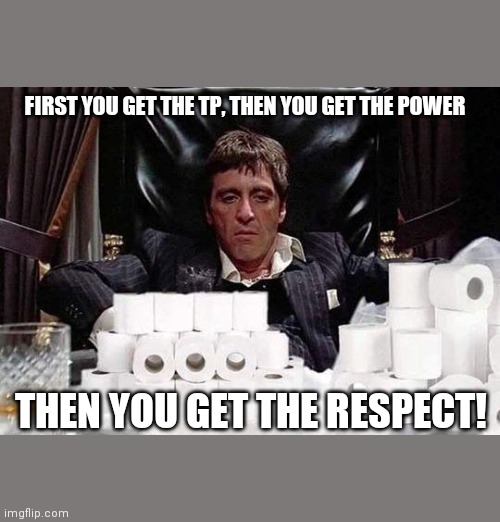 Toilet paper immunization | FIRST YOU GET THE TP, THEN YOU GET THE POWER; THEN YOU GET THE RESPECT! | image tagged in toilet paper immunization | made w/ Imgflip meme maker