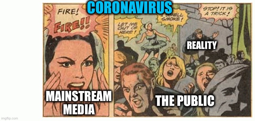 CORONAVIRUS; REALITY; MAINSTREAM MEDIA; THE PUBLIC | image tagged in coronavirus,mainstream media,media | made w/ Imgflip meme maker