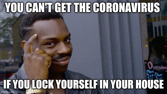 Roll Safe Think About It | YOU CAN'T GET THE CORONAVIRUS; IF YOU LOCK YOURSELF IN YOUR HOUSE | image tagged in memes,roll safe think about it | made w/ Imgflip meme maker