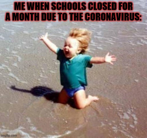 Celebration | ME WHEN SCHOOLS CLOSED FOR A MONTH DUE TO THE CORONAVIRUS: | image tagged in celebration | made w/ Imgflip meme maker