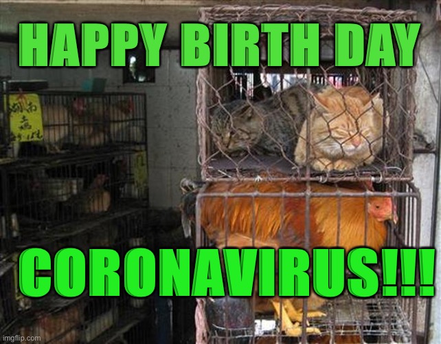 HAPPY BIRTH DAY; CORONAVIRUS!!! | image tagged in covid-19 | made w/ Imgflip meme maker