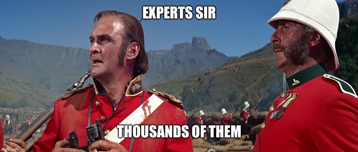 zulu | EXPERTS SIR; THOUSANDS OF THEM | image tagged in zulu | made w/ Imgflip meme maker