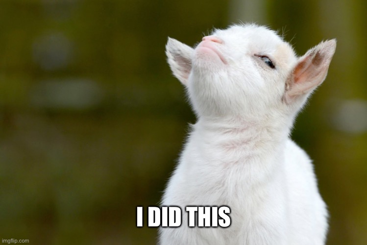 I DID THIS | image tagged in proud baby goat | made w/ Imgflip meme maker