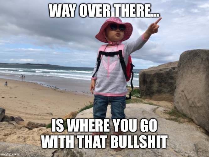 Way over there | WAY OVER THERE... IS WHERE YOU GO WITH THAT BULLSHIT | image tagged in cute kids,cute,too cute | made w/ Imgflip meme maker