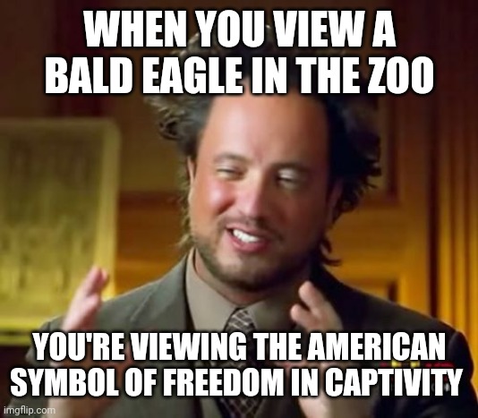 Ancient Aliens Meme | WHEN YOU VIEW A BALD EAGLE IN THE ZOO; YOU'RE VIEWING THE AMERICAN SYMBOL OF FREEDOM IN CAPTIVITY | image tagged in memes,ancient aliens | made w/ Imgflip meme maker