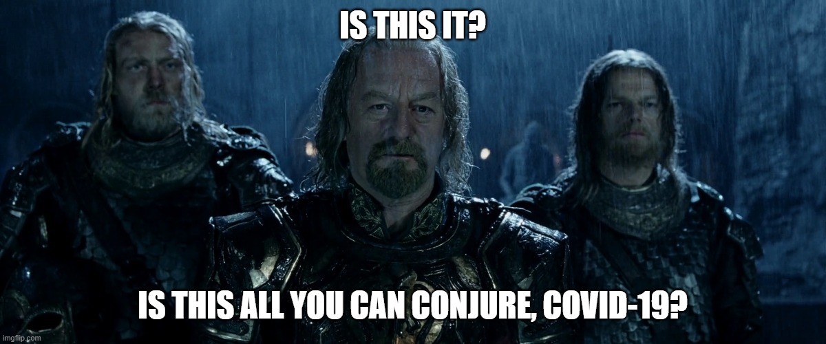 Theoden Lord of the Rings and so it begins | IS THIS IT? IS THIS ALL YOU CAN CONJURE, COVID-19? | image tagged in theoden lord of the rings and so it begins | made w/ Imgflip meme maker