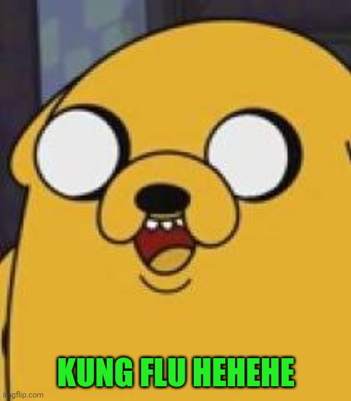 Jake The Dog Yeah Okay | KUNG FLU HEHEHE | image tagged in jake the dog yeah okay | made w/ Imgflip meme maker