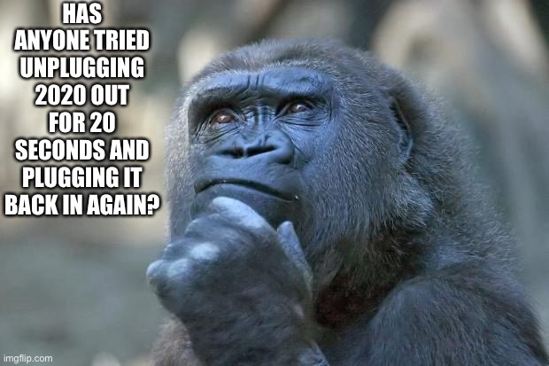 that is the question | HAS ANYONE TRIED UNPLUGGING 2020 OUT FOR 20 SECONDS AND PLUGGING IT BACK IN AGAIN? | image tagged in that is the question | made w/ Imgflip meme maker