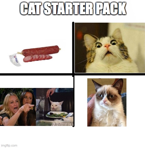 cat starter pack | CAT STARTER PACK | image tagged in memes,cats,starter pack | made w/ Imgflip meme maker