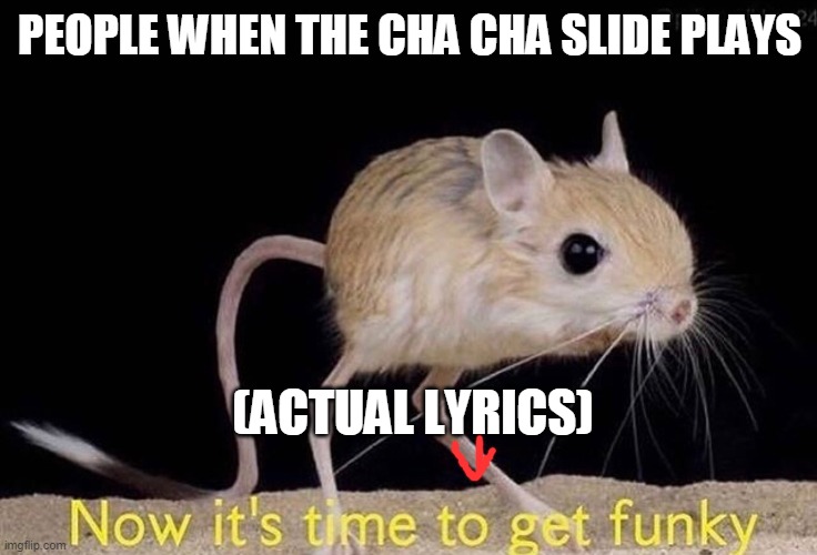 Now it’s time to get funky | PEOPLE WHEN THE CHA CHA SLIDE PLAYS; (ACTUAL LYRICS) | image tagged in now its time to get funky | made w/ Imgflip meme maker