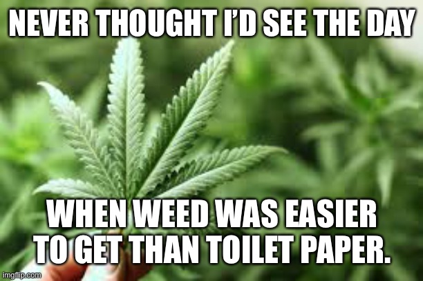 marijuana | NEVER THOUGHT I’D SEE THE DAY; WHEN WEED WAS EASIER TO GET THAN TOILET PAPER. | image tagged in marijuana | made w/ Imgflip meme maker